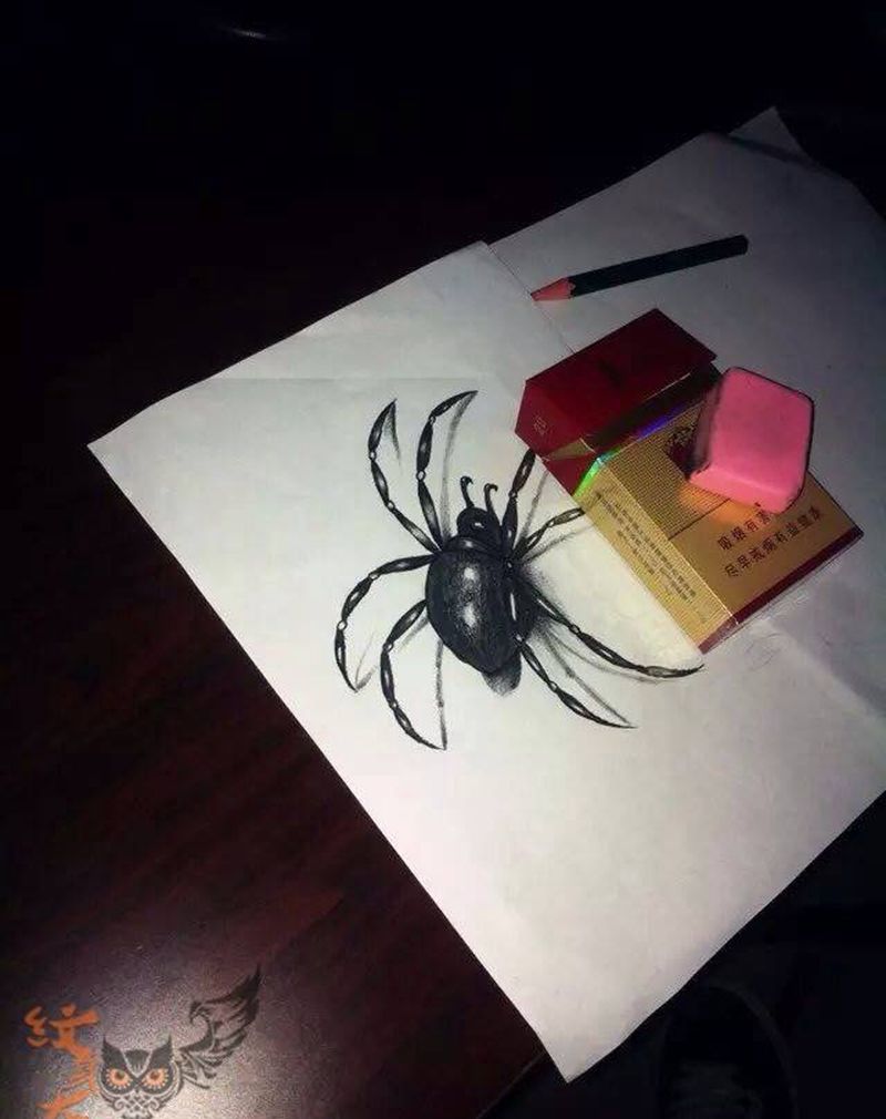 蜘蛛纹身图片_原创写实手稿纹身图案