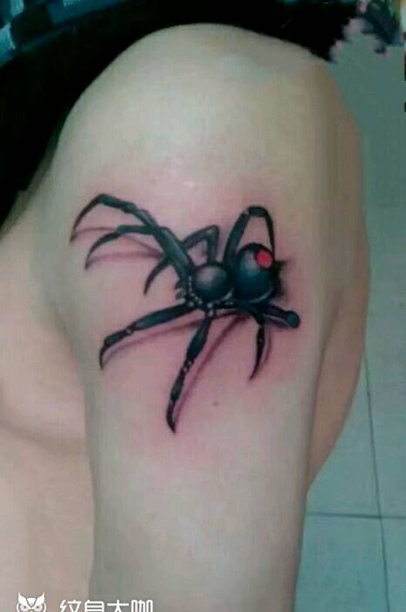蜘蛛纹身图片_肩部写实动物成品纹身图案