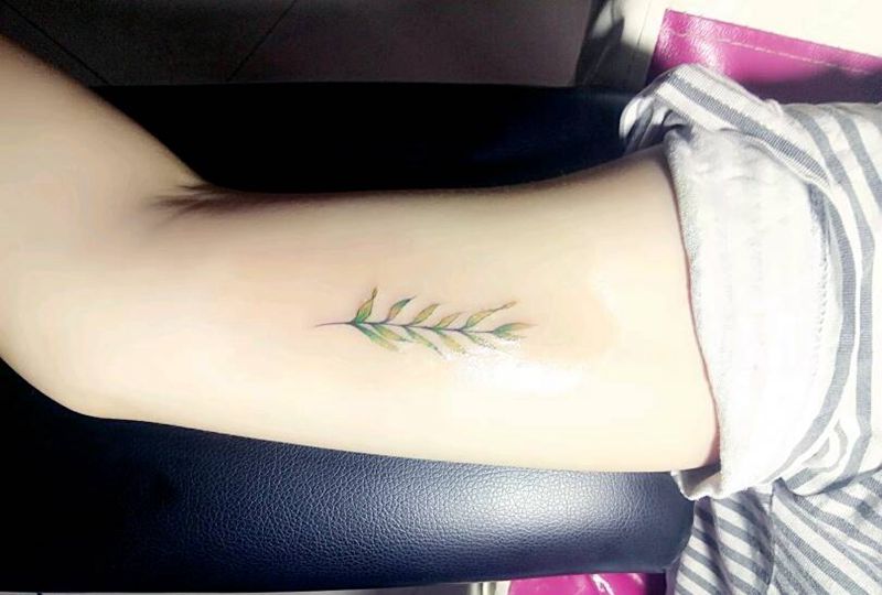 柳枝叶纹身图片