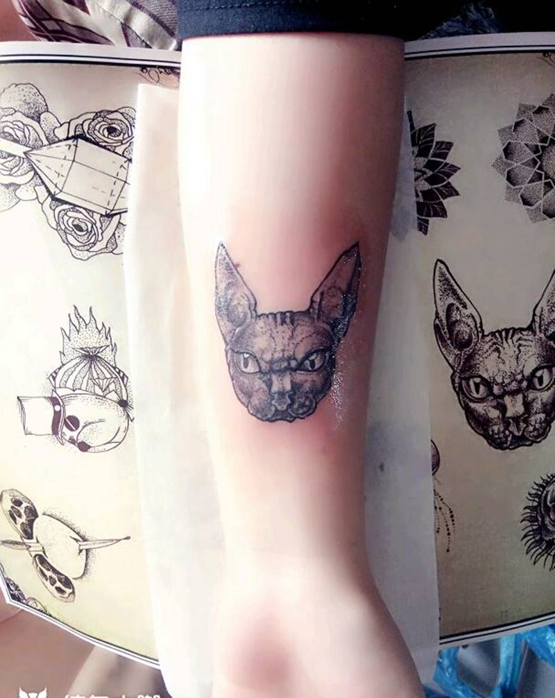 猫精灵纹身图片