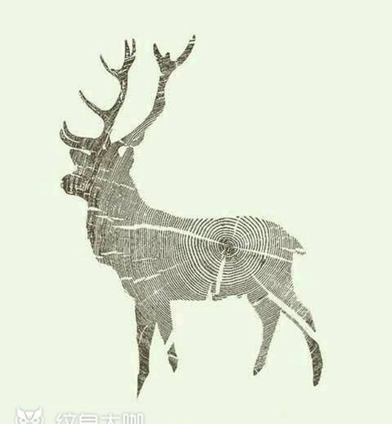 鹿的魅力纹身图片_手稿纹身图案