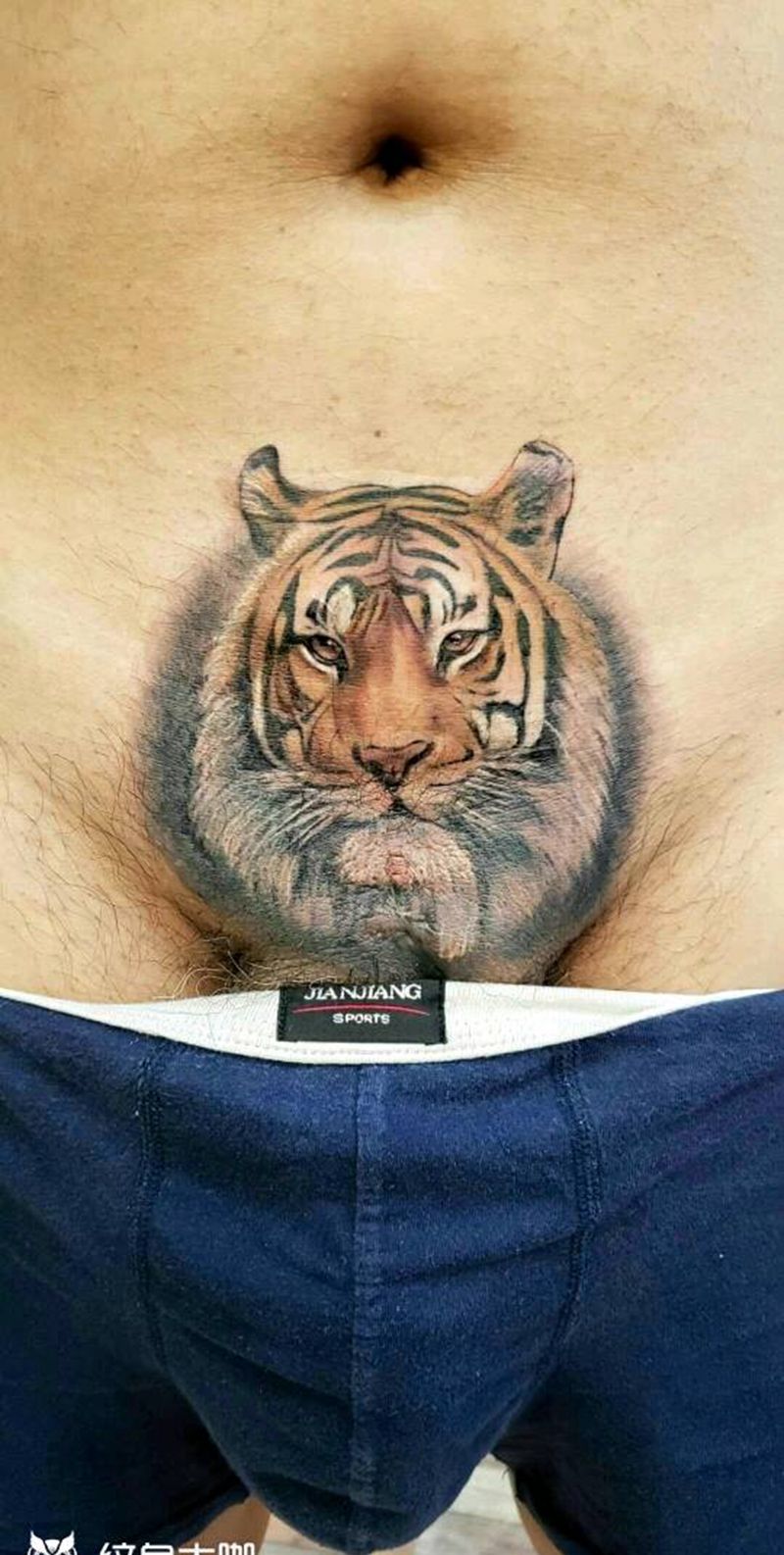 虎纹身图片