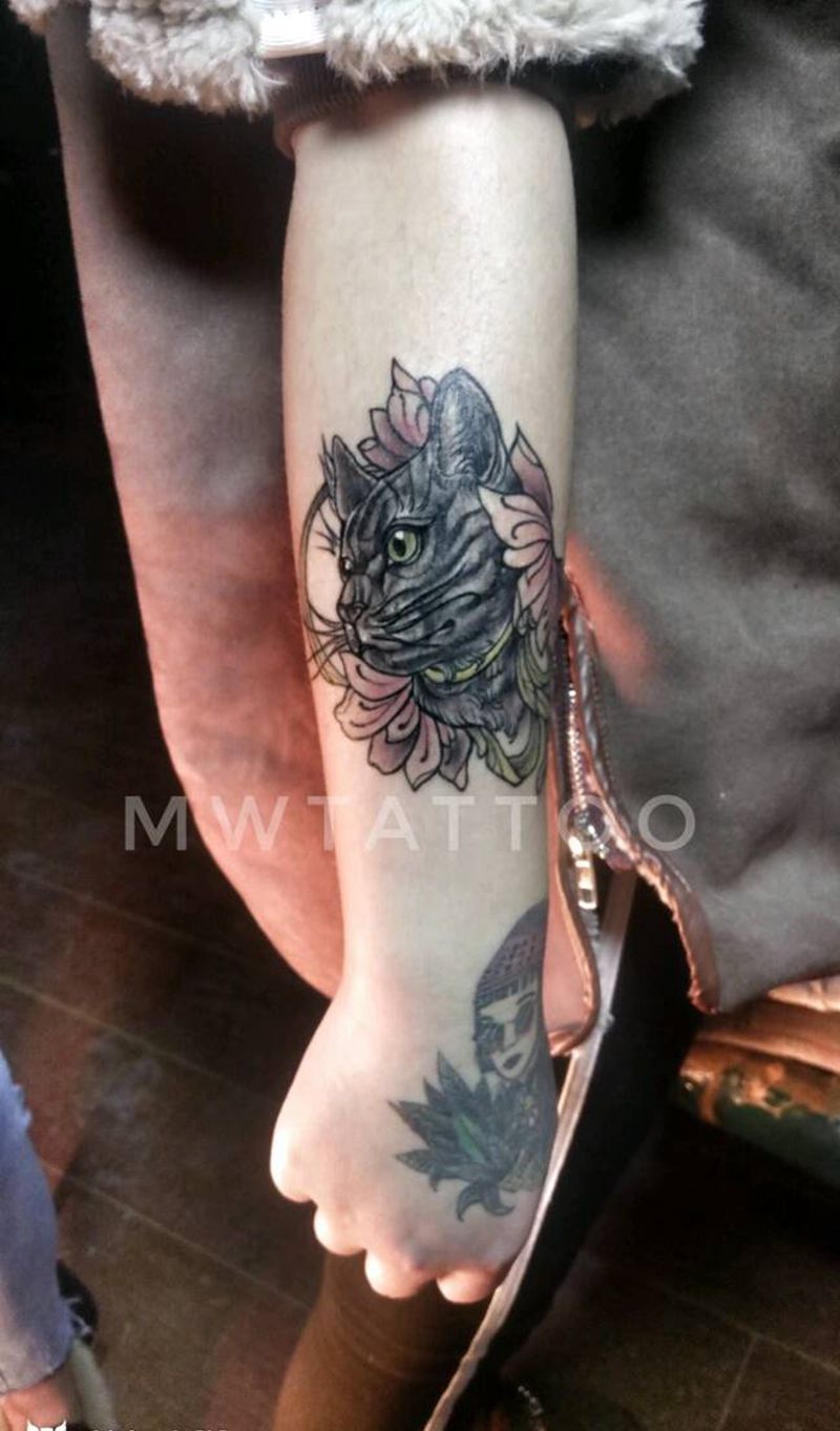 猫纹身图片