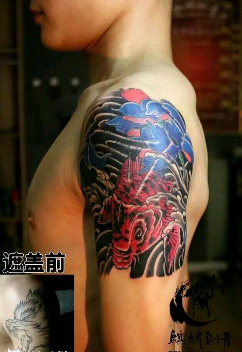 锦鲤遮盖。纹身图片