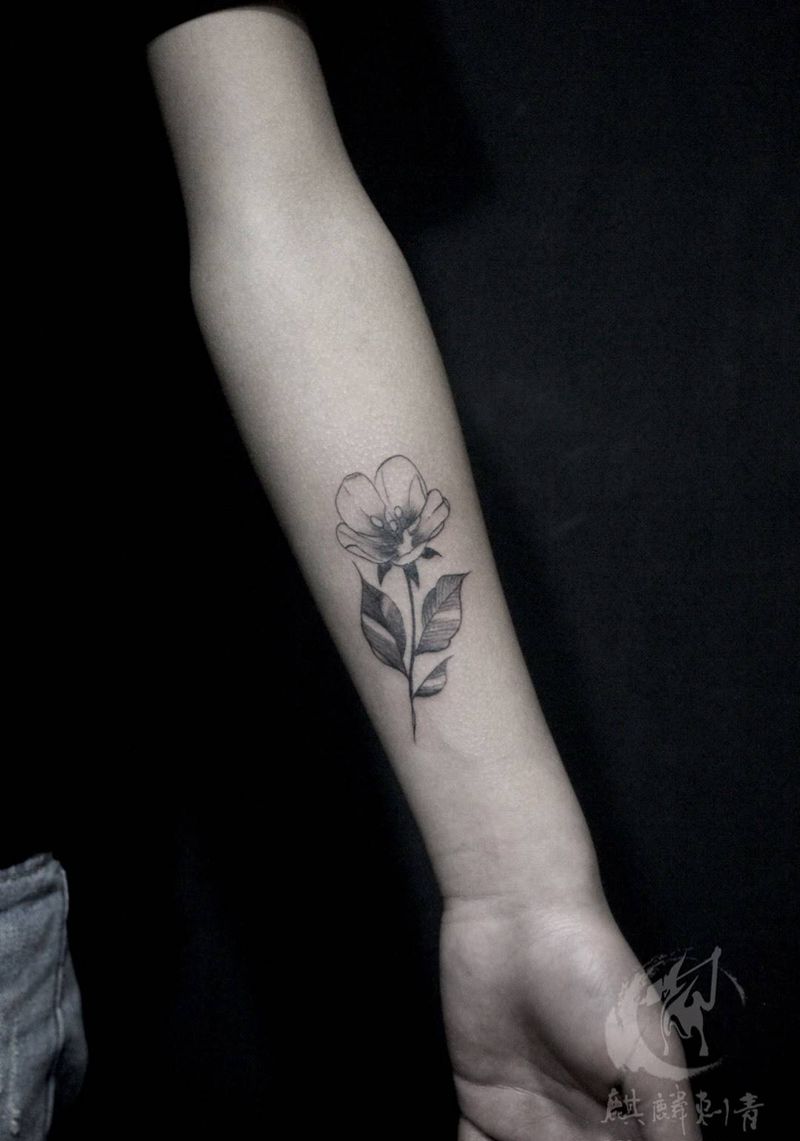 素描小花纹身图片_成品清新手臂植物黑灰简约纹身图案