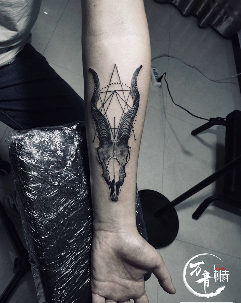 骷髅羊头纹身图片_手臂欧美写实羊头纹身图案