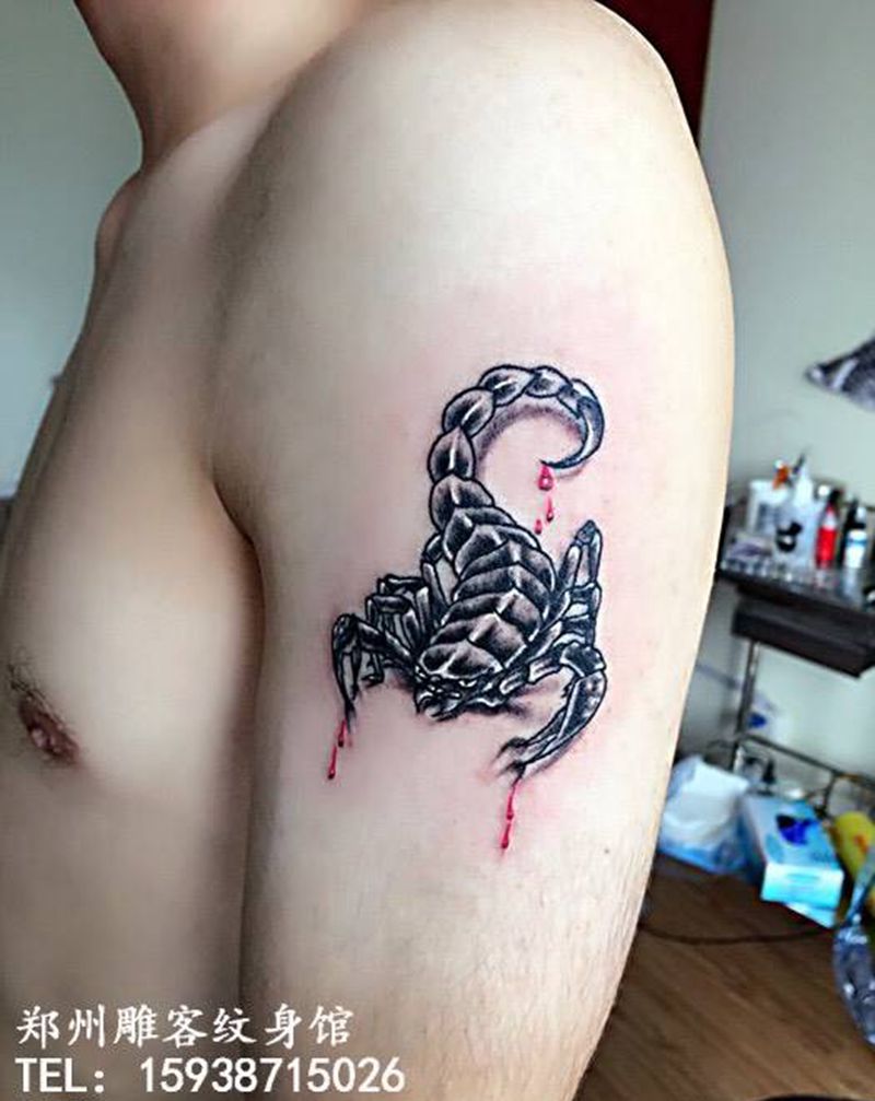 蝎子纹身图片_成品手臂传统动物郑州纹身图案