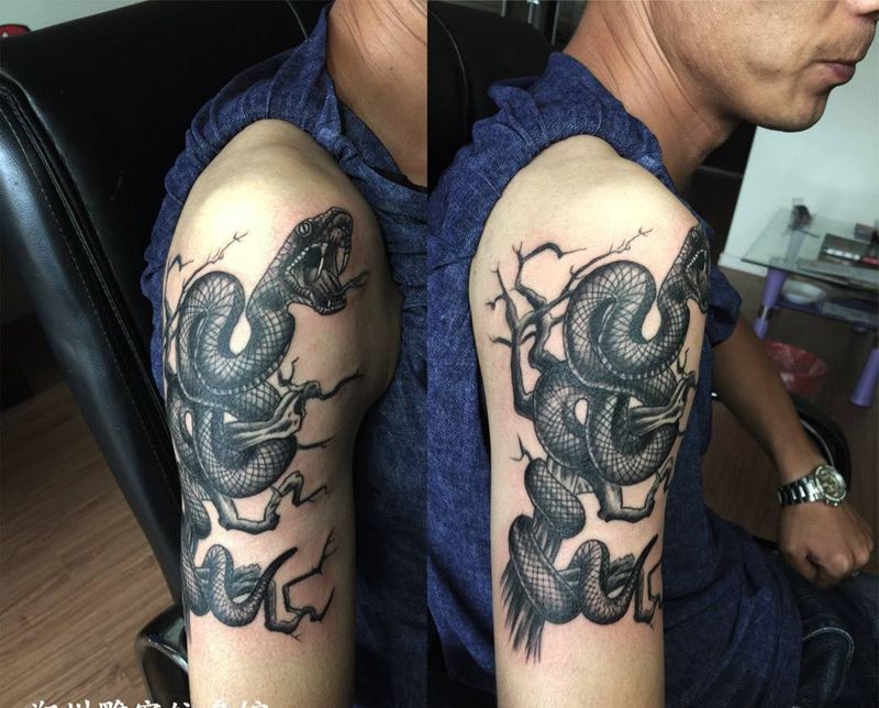 蛇纹身图片_成品手臂传统动物郑州培训纹身图案