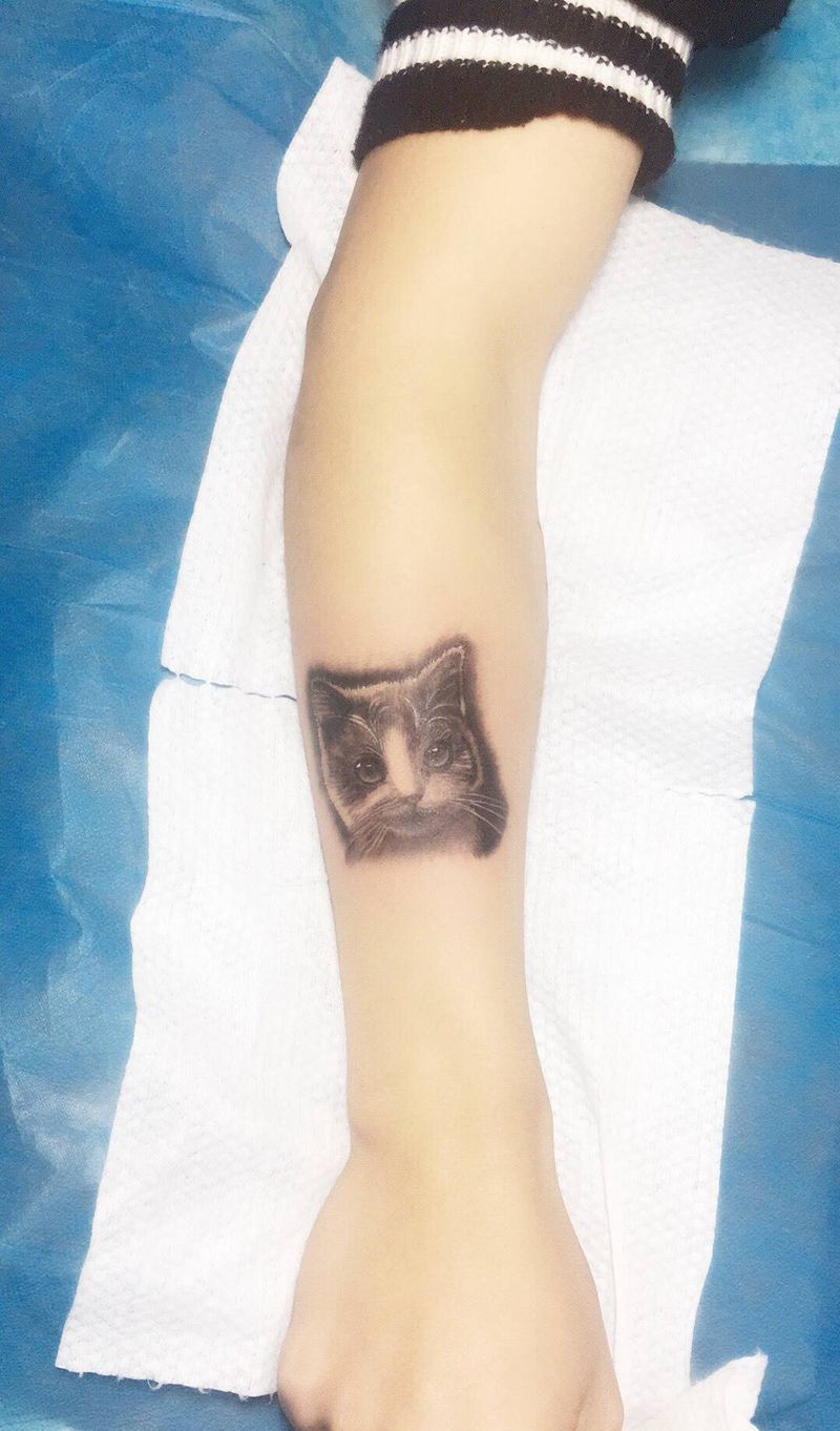小猫咪纹身图片