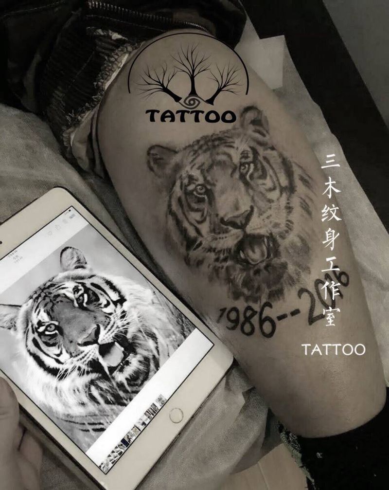 老虎纹身图片