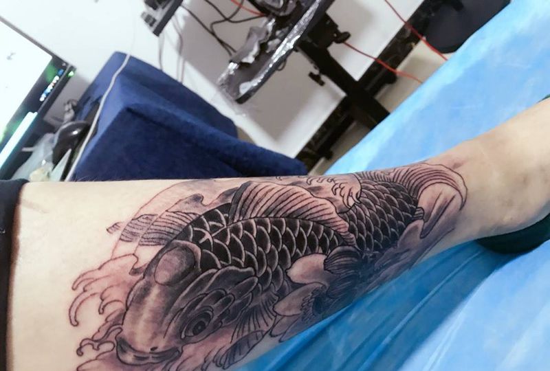 富贵鱼纹身图片