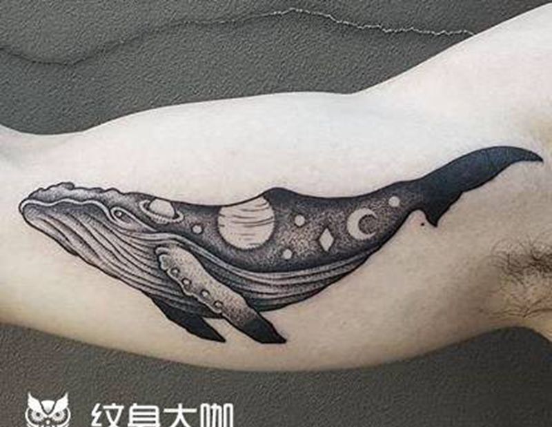 鲸鱼纹身图片