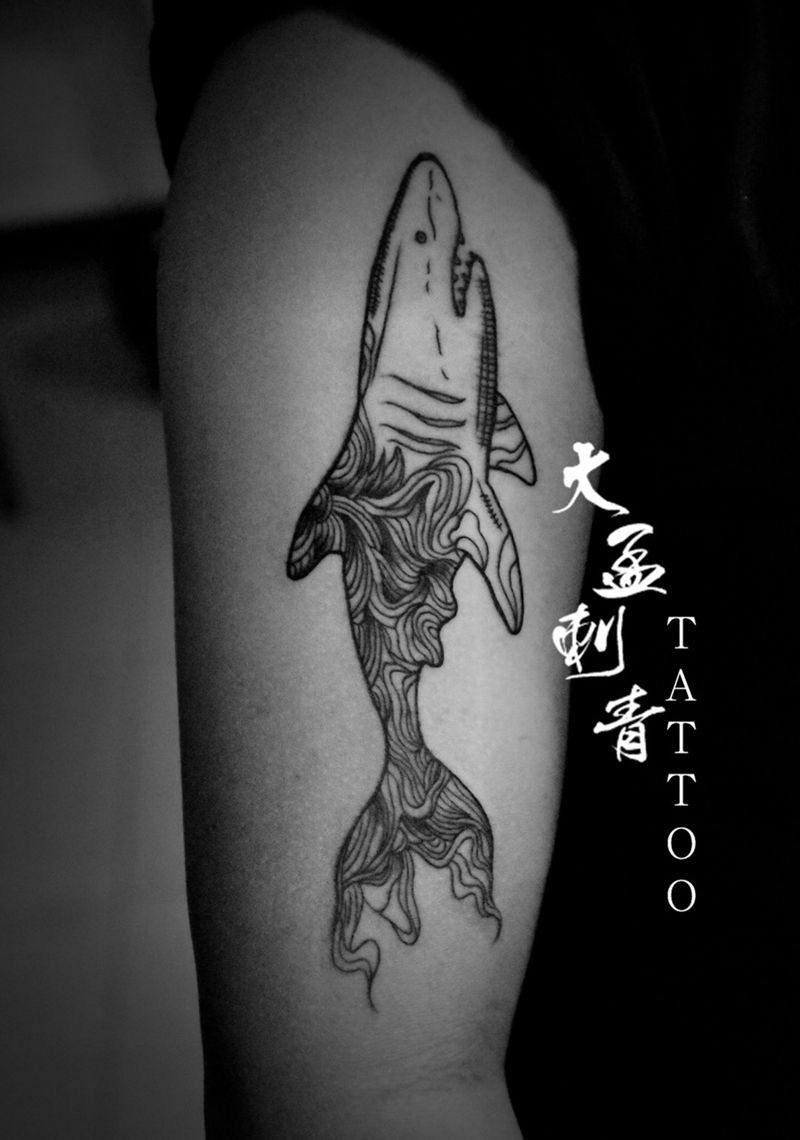 线条鲨鱼纹身图片_成品原创纹身图案