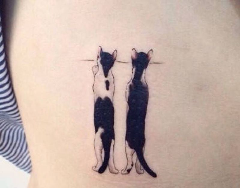 猫纹身图片