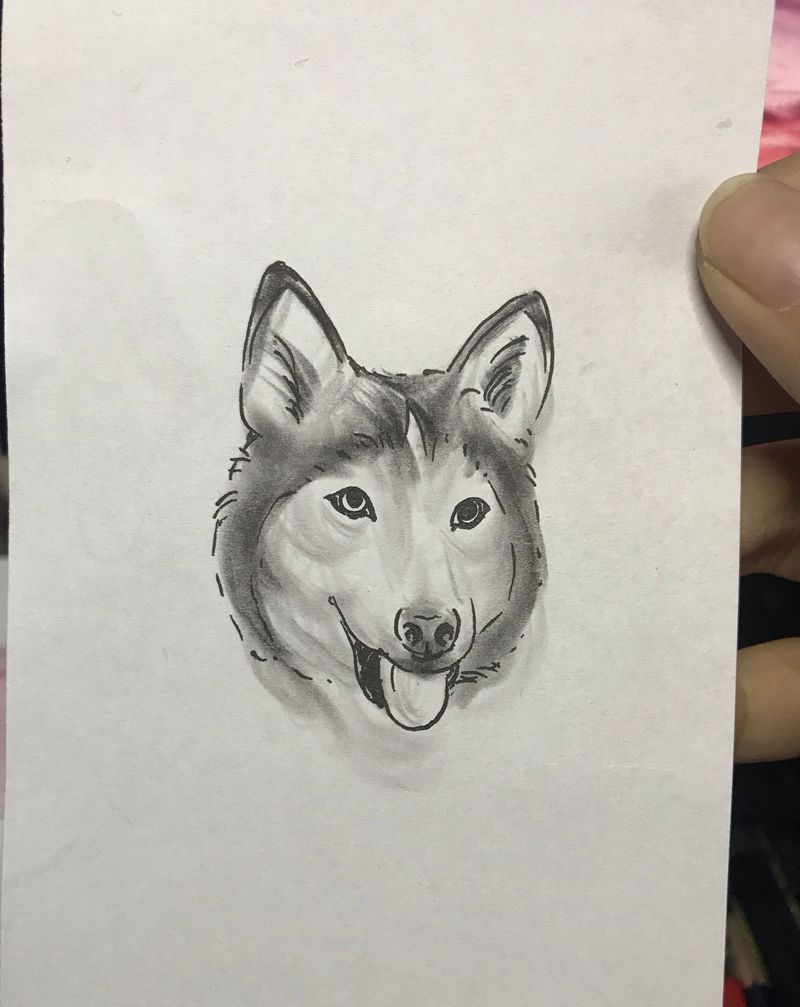 哈士奇纹身图片_腿部纹身图案