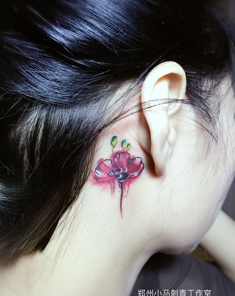 罂粟花遮盖旧图纹身图片