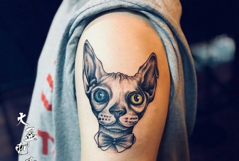 司芬克斯猫纹身图片_成品纹身图案