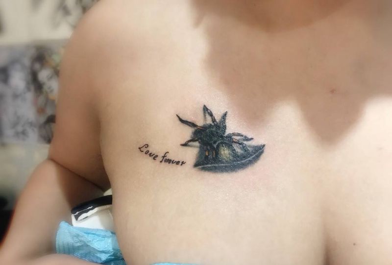 扒皮蜘蛛纹身纹身图片_成品胸部写实动物纹身图案