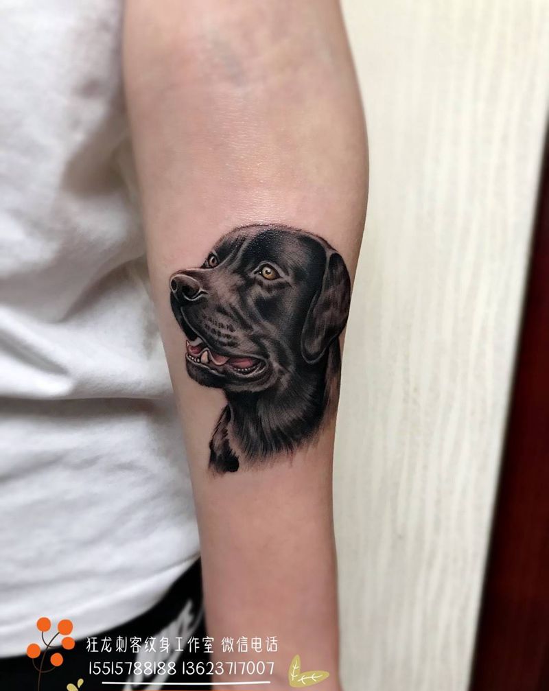 拉布拉多犬纹身图片_成品手臂手部臀部欧美传统写实清新肖像动物纹身图案
