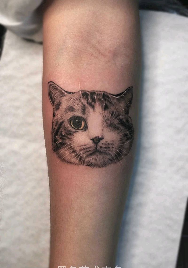 小猫咪纹身图片_手臂欧美写实纹身图案