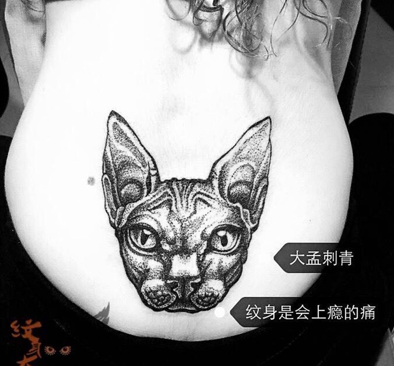 喵星人纹身图片