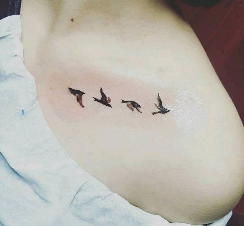 小燕子纹身图片_颈部胸部欧美清新动物原创锁骨纹身图案