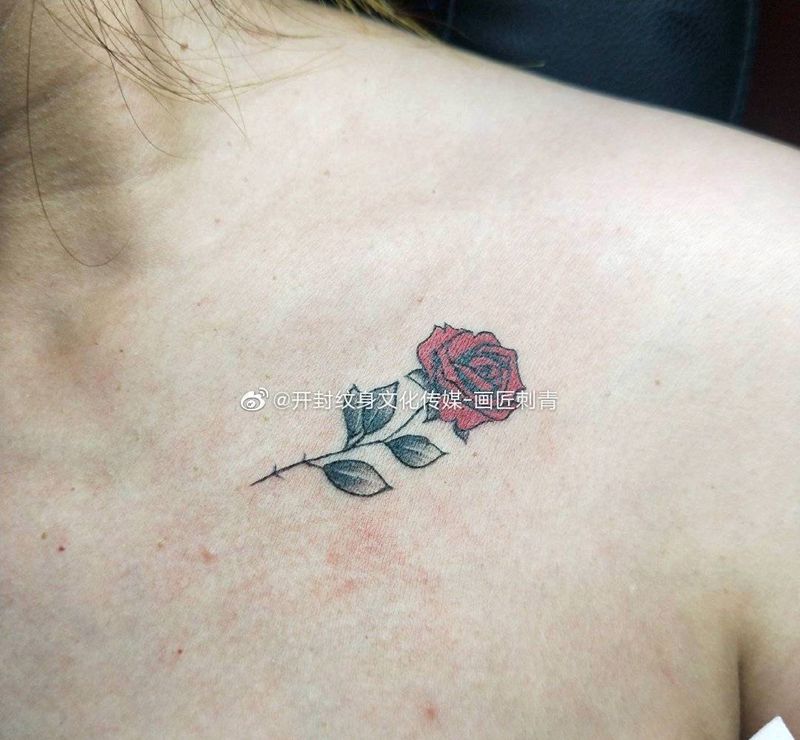 玫瑰小图纹身图片_胸部颈部水彩图腾锁骨玫瑰花纹身图案
