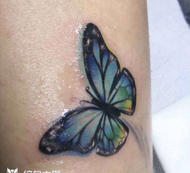 蝴蝶纹身图片_腿部老传统纹身图案