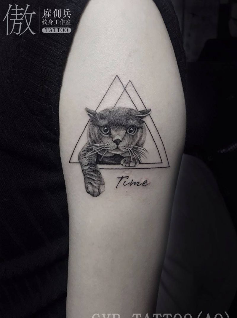 写实小猫纹身图片_手臂点刺猫小猫英短纹身图案