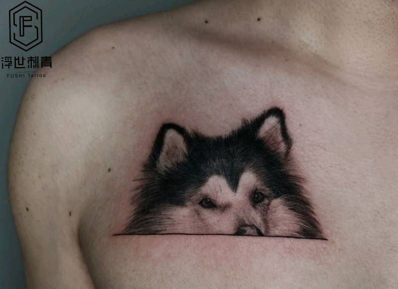 写实宠物狗/阿拉斯加纹身图片_胸部写实纹身图案