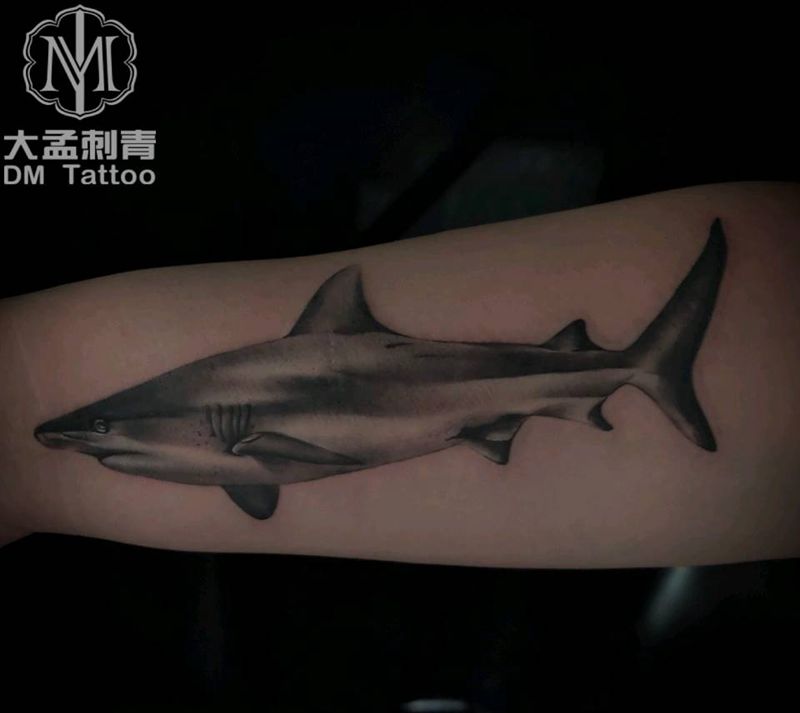 鲨鱼纹身图片_欧美写实纹身图案