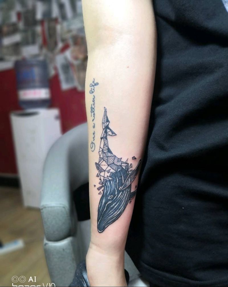 鲸鱼遮盖纹身图片