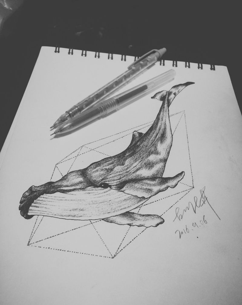 抹香鲸遮盖纹身图片_手稿颈部肩部腹部手臂臀部腿部手部背部点刺纹身图案