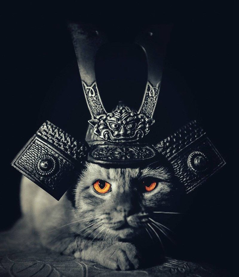 春雨落 万物润～