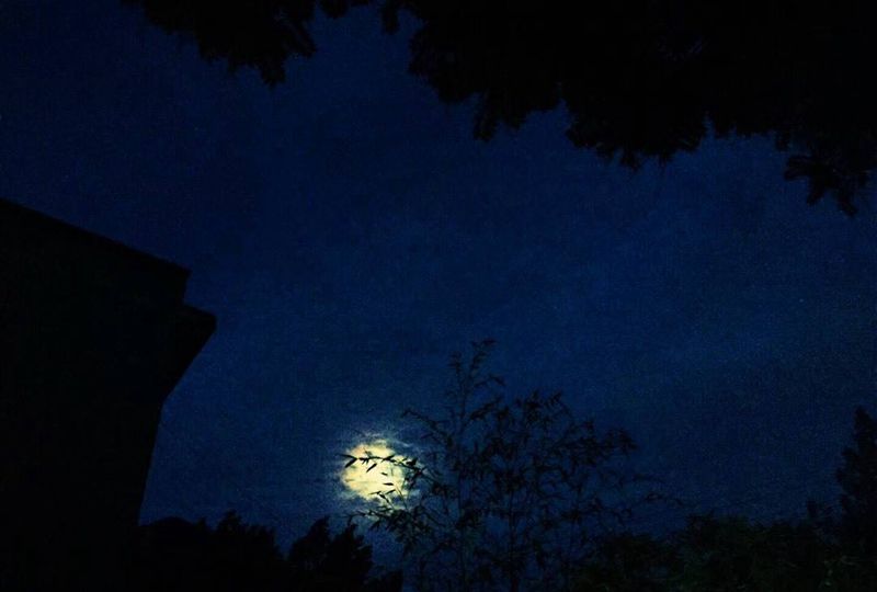 有朝一日放下功夫 你身上就是我…酒后睡大叫～[月亮]纹身图片