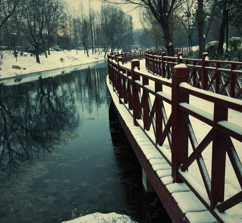 白雪却嫌春色晚吗 还是乙亥春在还戊戌冬欠下的雪 ～❄️❄️❄️纹身图片