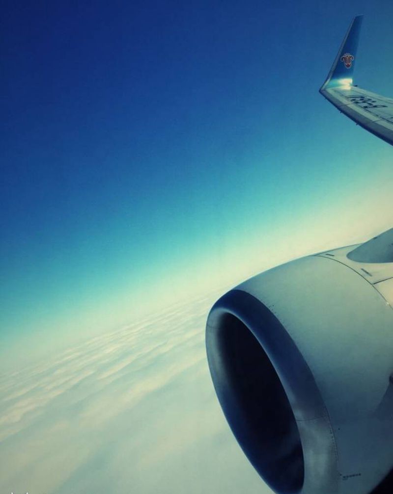 今儿天好 颜色过渡自然 雾面也匀 刺功了得哈～纹身图片