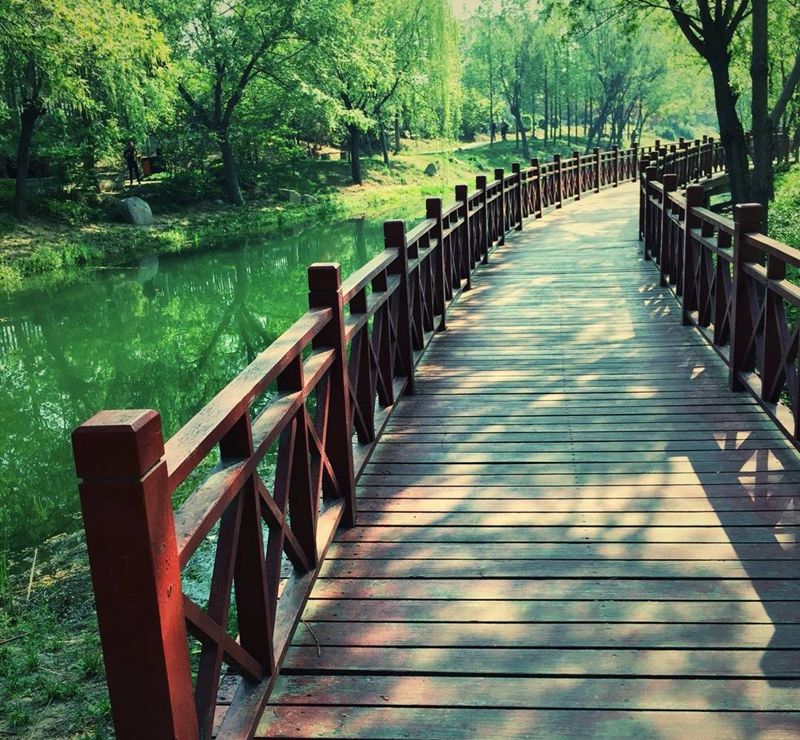 路过深春～[奸笑]纹身图片