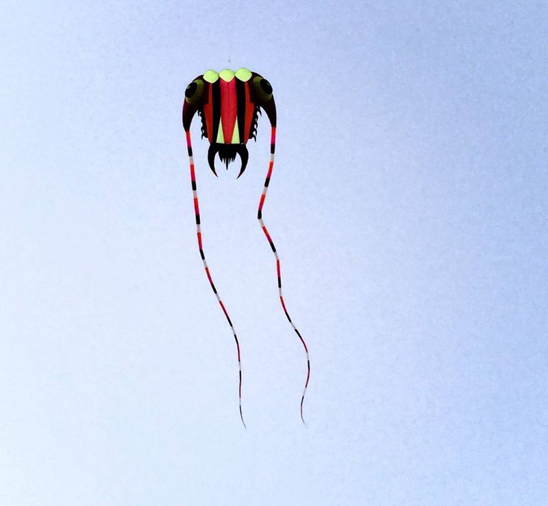 这是个放风筝的季节~纹身图片