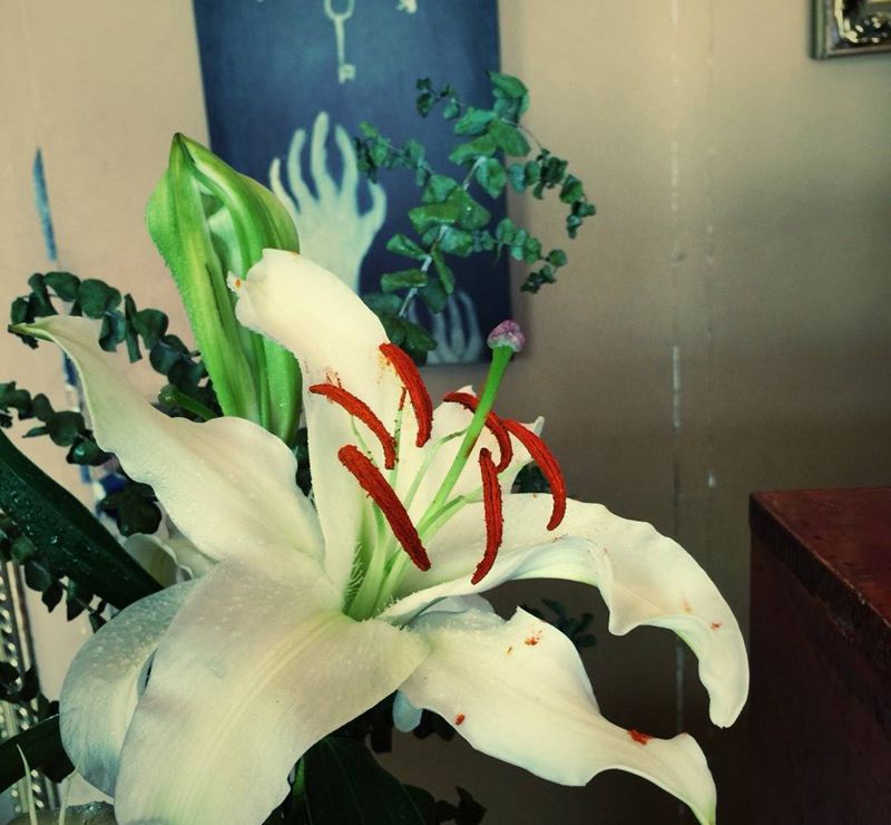 睡一觉花会开的～[奸笑]纹身图片