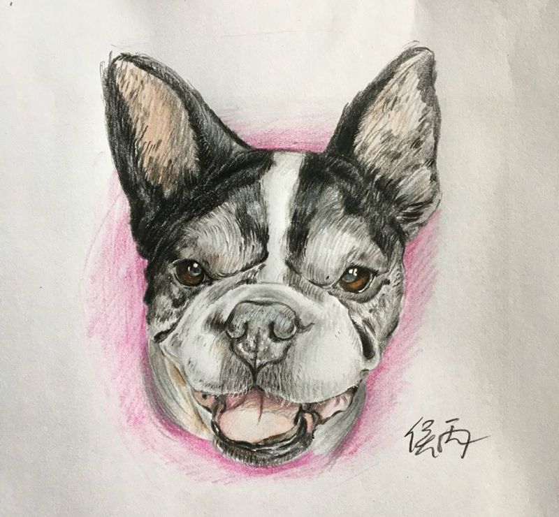 怀念纹身图片_欧美写实成品手稿肩部脚部手臂动物平顶山纹身图案