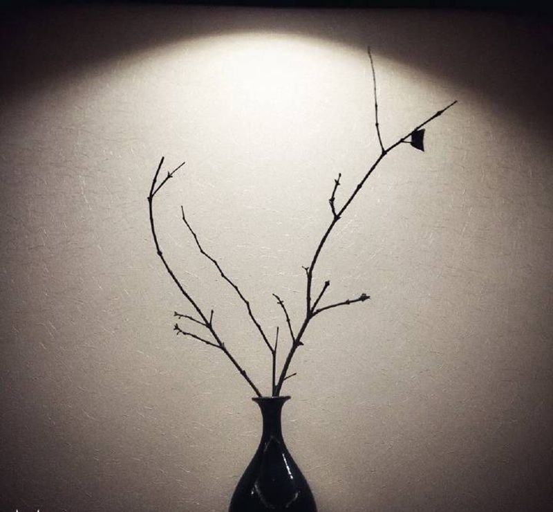 捡了束冬枝～纹身图片