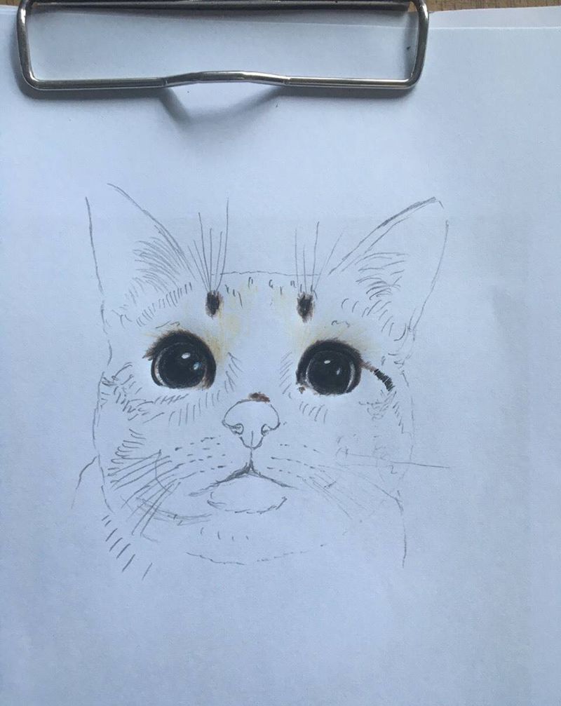 萌萌猫纹身图片_手稿手臂背部胸部欧美肖像清新写实动物平顶山纹身图案