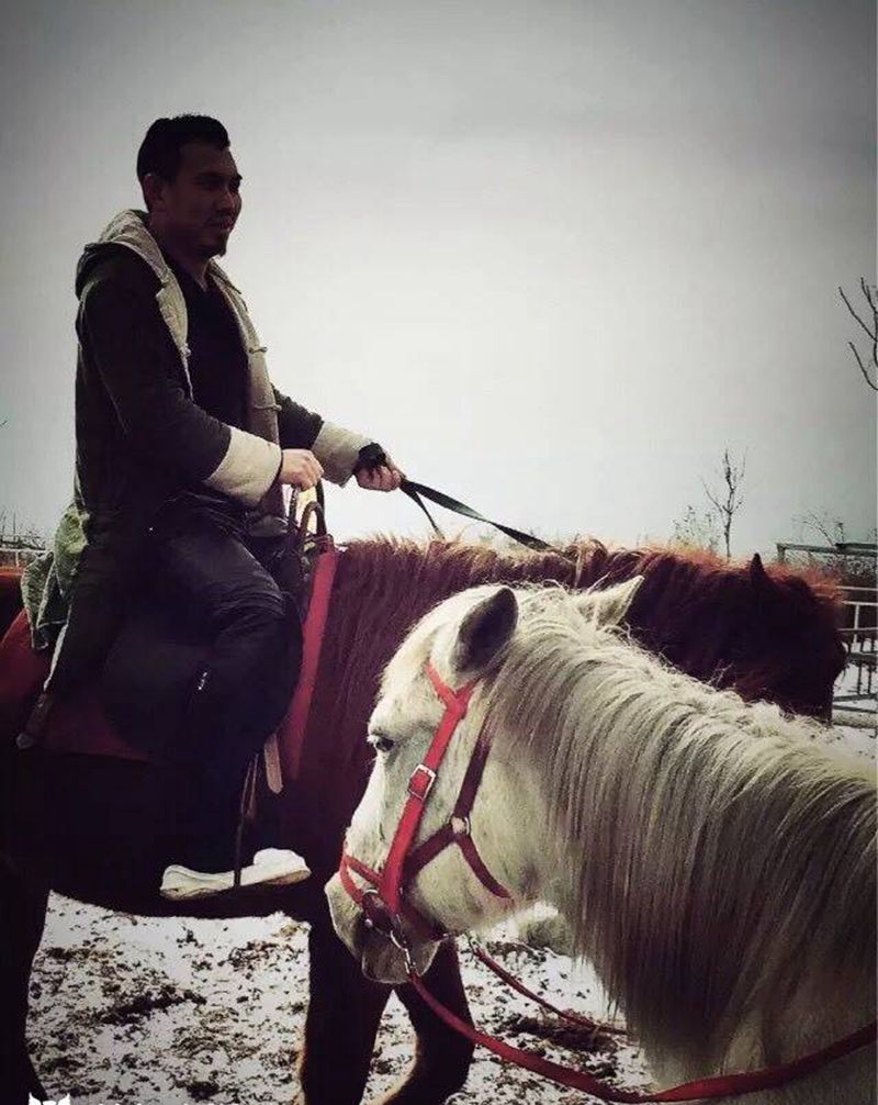 又是一年十二月吗～