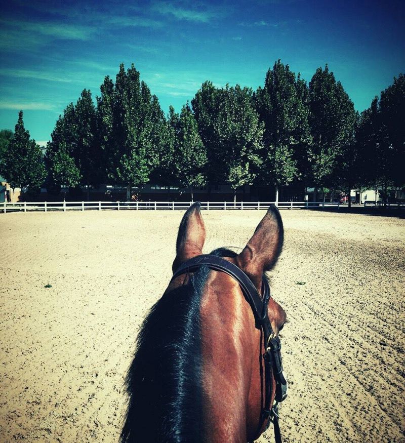 硬派～纹身图片