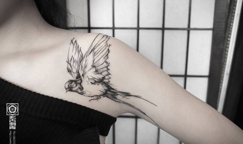 燕纹身图片_成品肩部欧美清新动物胸部纹身图案