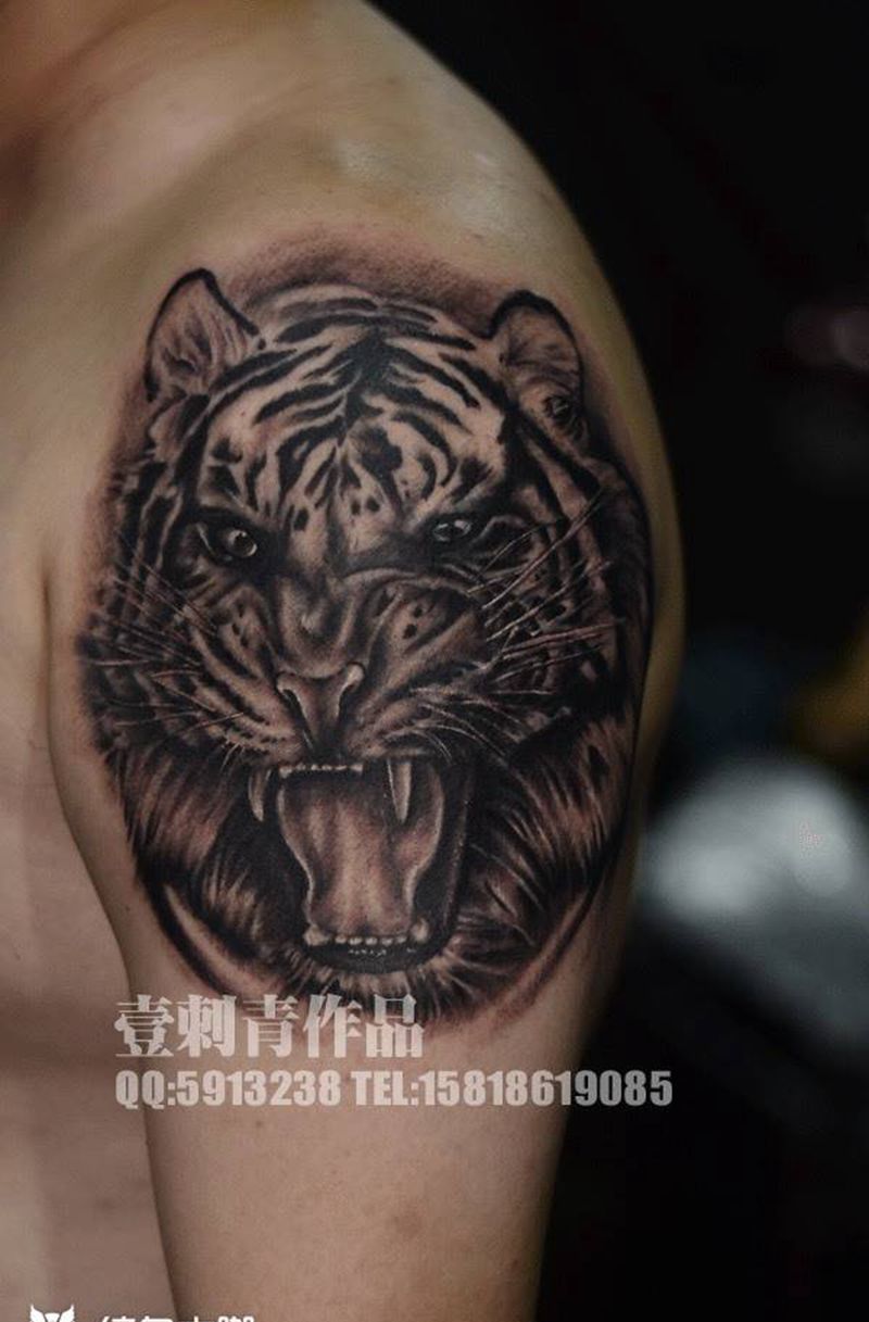 心有猛虎细嗅蔷薇纹身图片