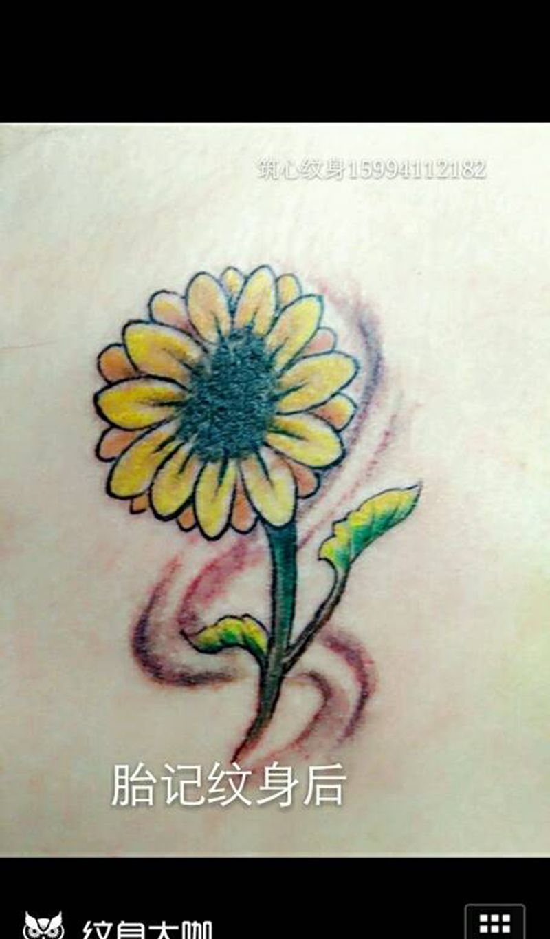 胎记设计纹身图片