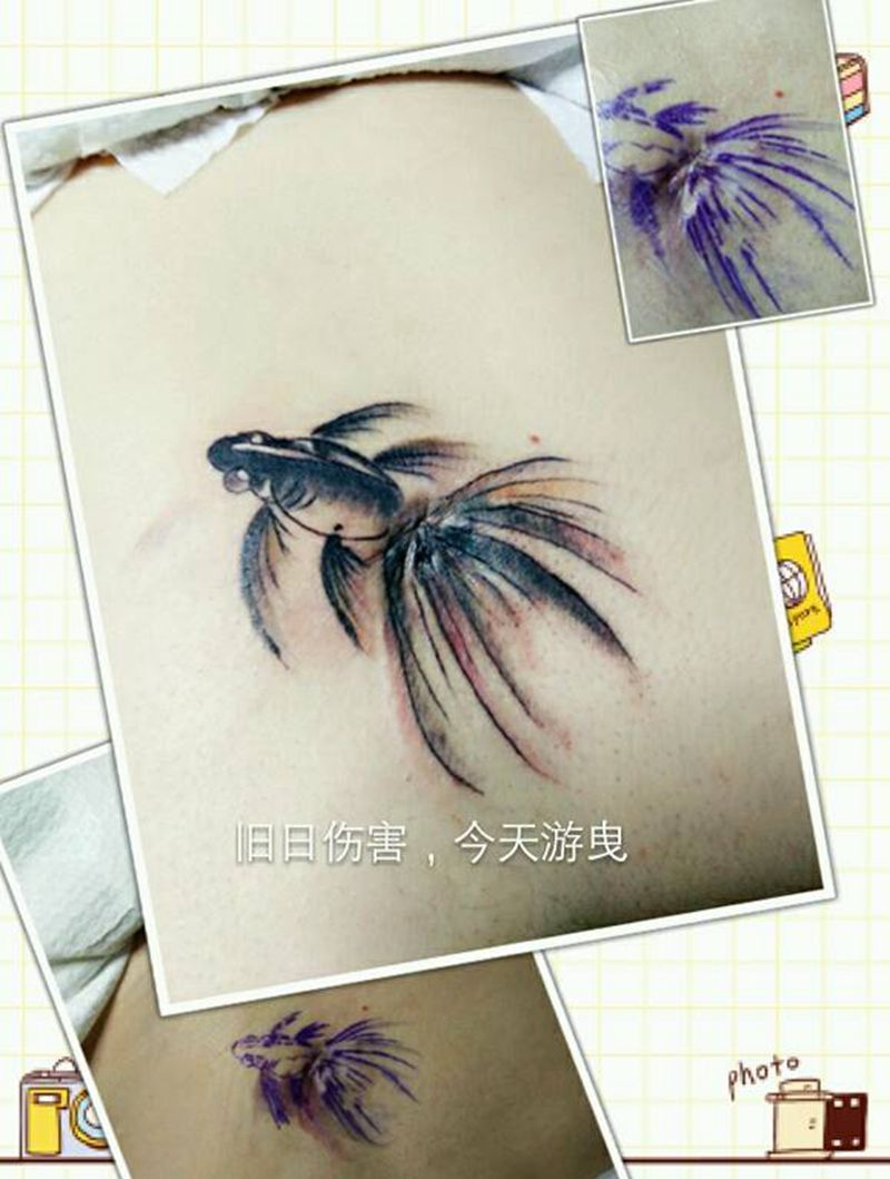 金鱼遮盖伤疤纹身图片