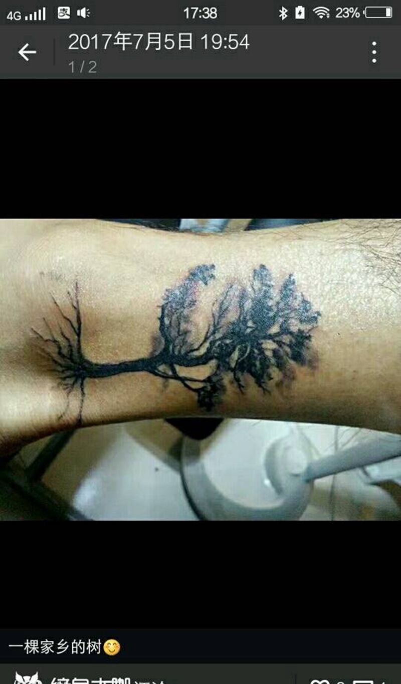 故乡的树纹身图片